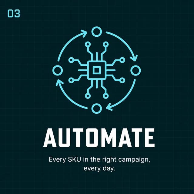 RTAS step 03 Automate: daily product classification and feed maintenance with human oversight.